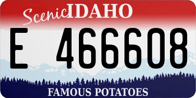 ID license plate E466608