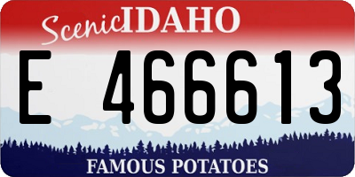 ID license plate E466613