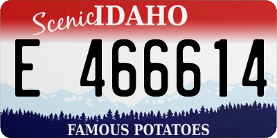 ID license plate E466614