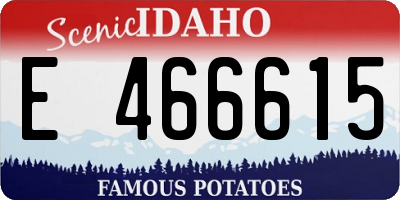 ID license plate E466615