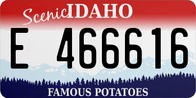 ID license plate E466616