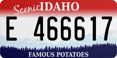 ID license plate E466617