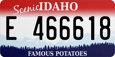 ID license plate E466618