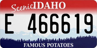 ID license plate E466619