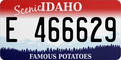 ID license plate E466629