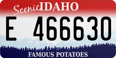 ID license plate E466630