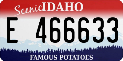 ID license plate E466633