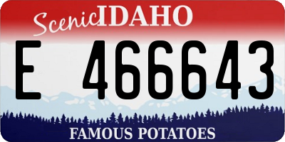 ID license plate E466643