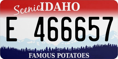 ID license plate E466657