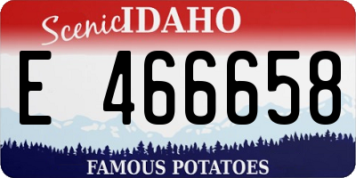 ID license plate E466658