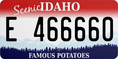 ID license plate E466660