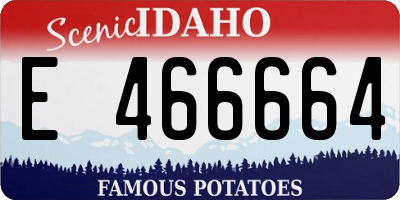 ID license plate E466664