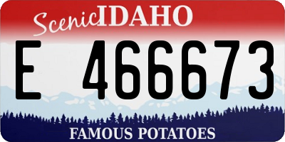 ID license plate E466673
