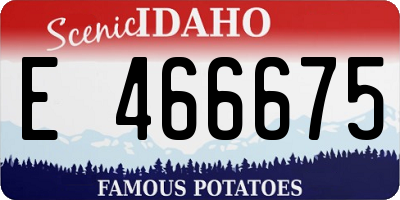 ID license plate E466675