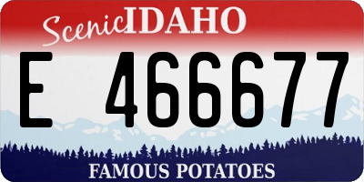 ID license plate E466677