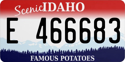 ID license plate E466683