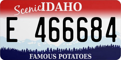 ID license plate E466684