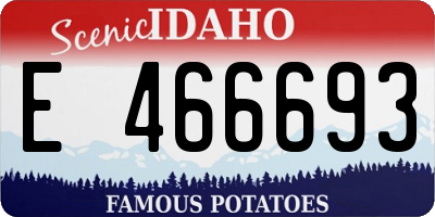 ID license plate E466693