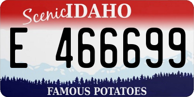 ID license plate E466699