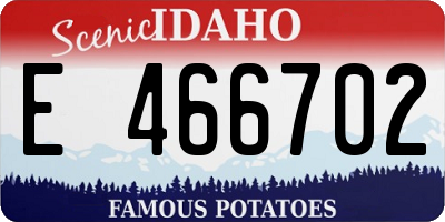 ID license plate E466702