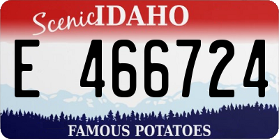 ID license plate E466724