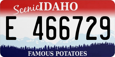 ID license plate E466729