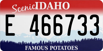 ID license plate E466733