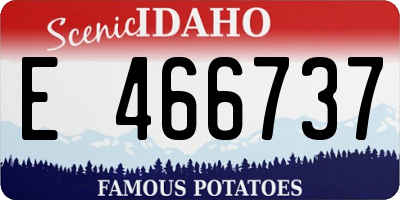 ID license plate E466737