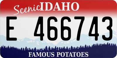 ID license plate E466743