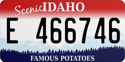 ID license plate E466746