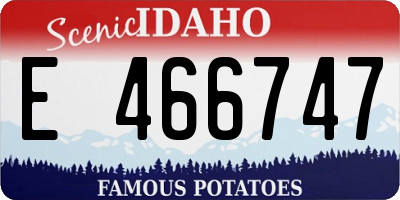 ID license plate E466747