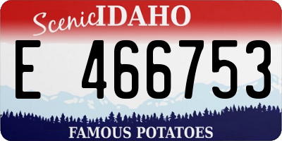 ID license plate E466753
