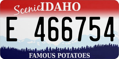 ID license plate E466754