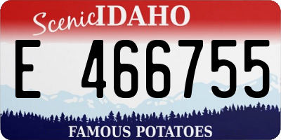 ID license plate E466755