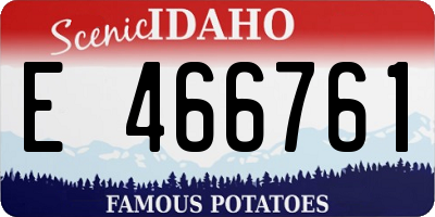 ID license plate E466761