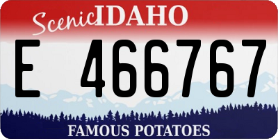 ID license plate E466767
