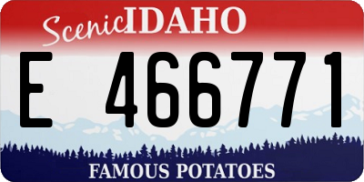 ID license plate E466771