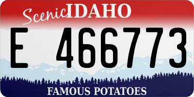 ID license plate E466773