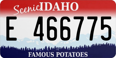 ID license plate E466775