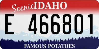 ID license plate E466801