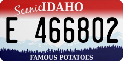 ID license plate E466802