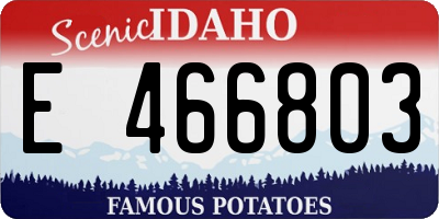 ID license plate E466803