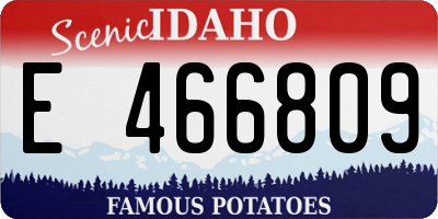 ID license plate E466809