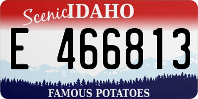 ID license plate E466813