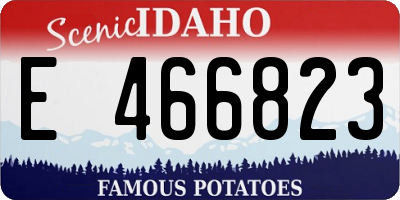 ID license plate E466823