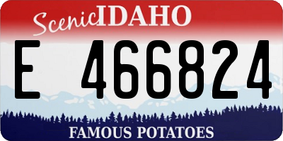 ID license plate E466824