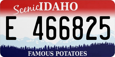 ID license plate E466825