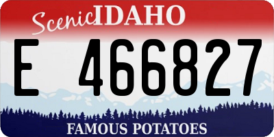 ID license plate E466827
