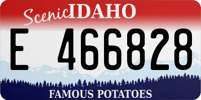 ID license plate E466828