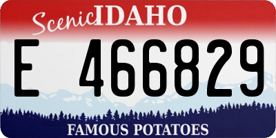 ID license plate E466829